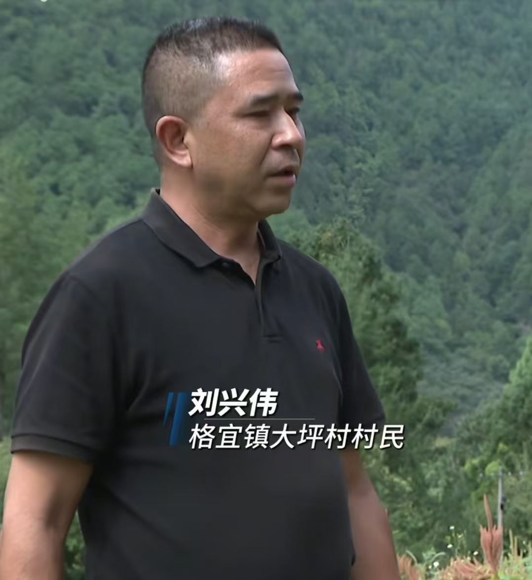 刘兴伟