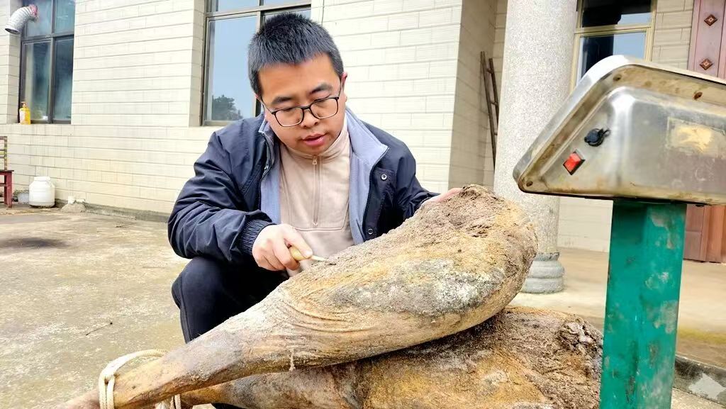 陈永乐收火腿
